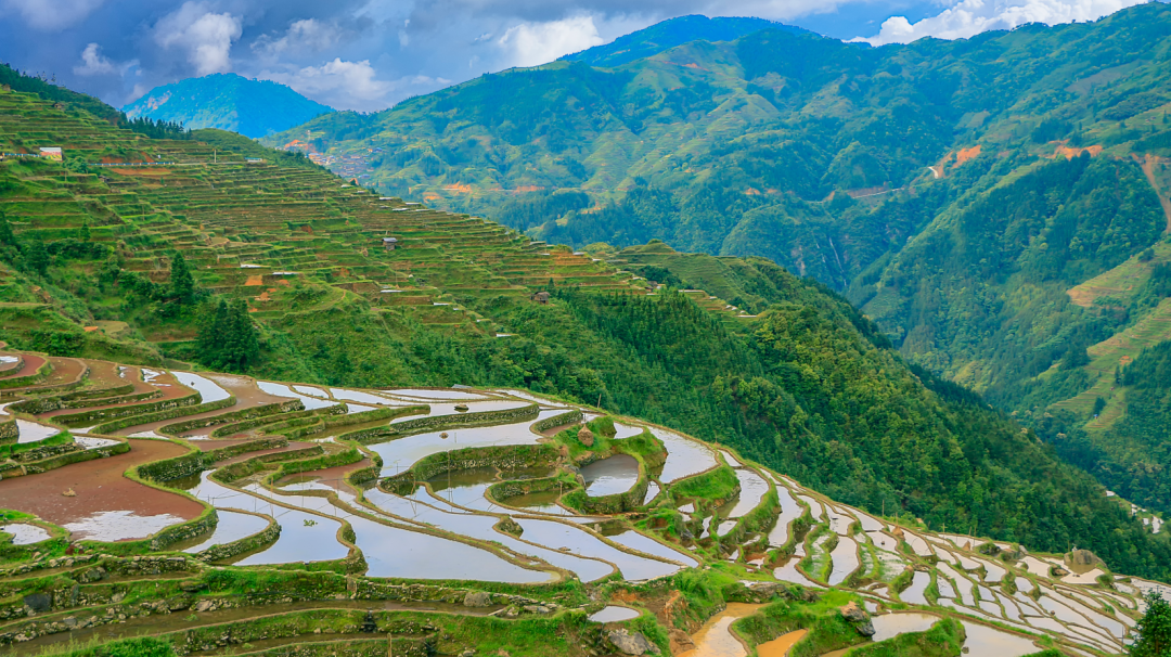 22個省市將氫能寫入2024地方政府工作報告，明確重點部署氫能