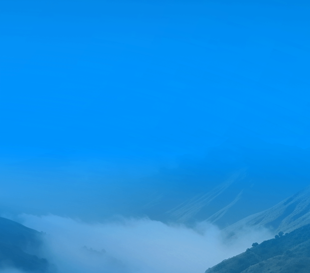 3月28日，我們有一個重大決定