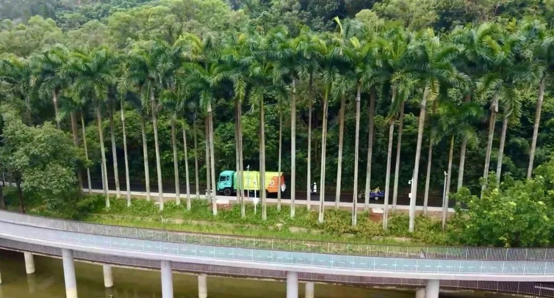 為綠色智慧作業(yè)！宇通環(huán)衛(wèi)純電動(dòng)洗掃車(chē)新品試駕會(huì)圓滿(mǎn)落幕