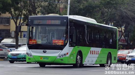 1704677724991292.jpg 10.jpg