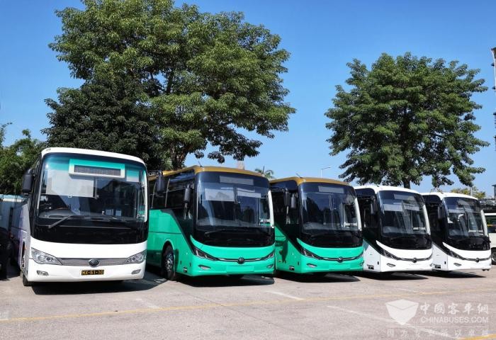 奏響濠江綠色篇章 宇通助力大灣區(qū)旅游業(yè)闊步向“新”