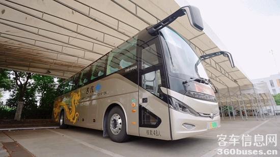 1715910106432983.jpg 8.jpg