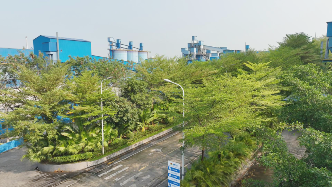 水泥廠變“花園”？華盛水泥的綠色運營之道